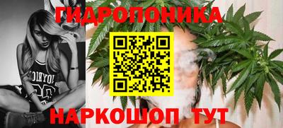 МДМА Заводоуковск