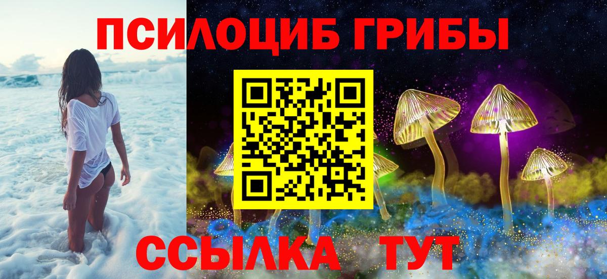 Псилоцибиновые грибы Cubensis  Вход с VPN  Мценск 